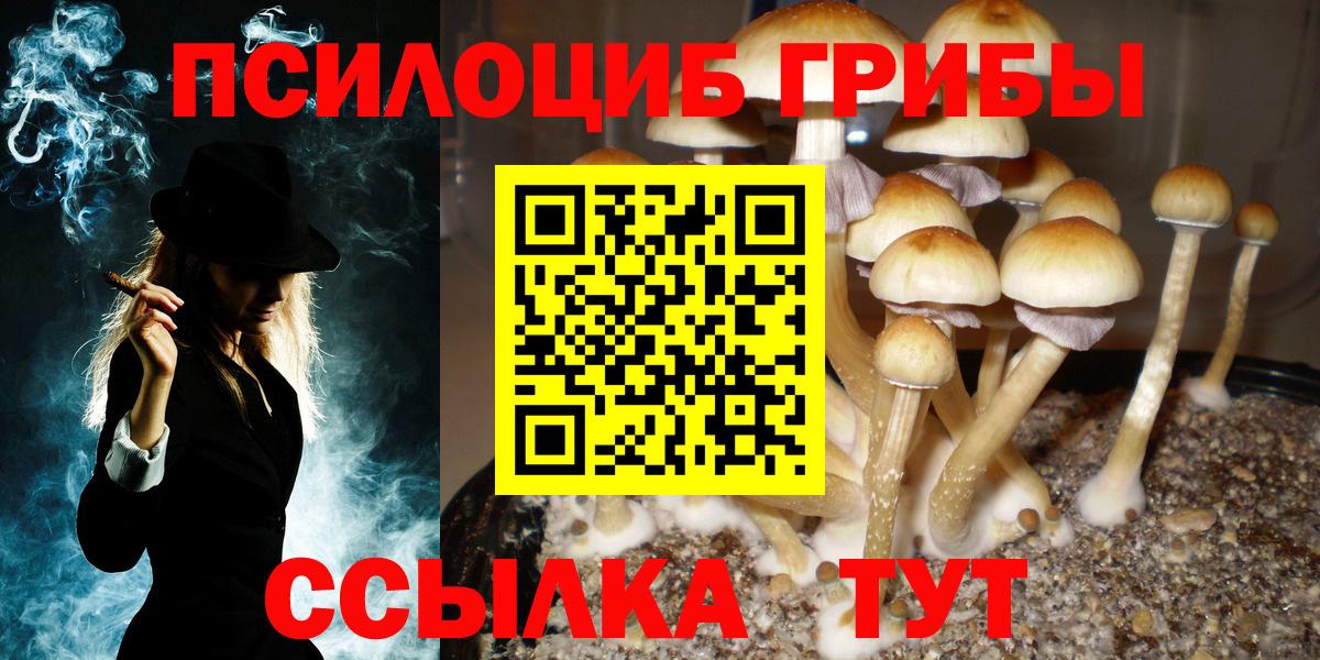 Галлюциногенные грибы Magic Shrooms Иваново